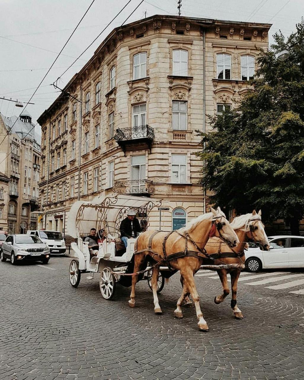 Edem Apartments In Львов Экстерьер фото